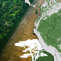 Dünyayı Bekleyen Tehlike