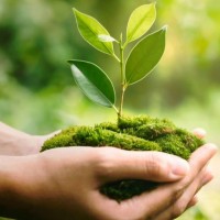 Doğa Tabanlı Çözümler