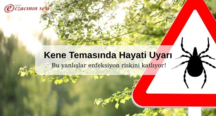 Kene Temasında Hayati Uyarı