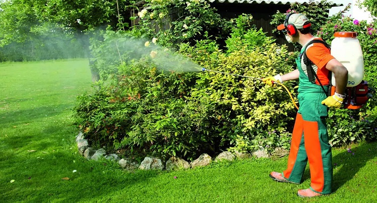 Artık İnternetten Satışı Yapılamayacak